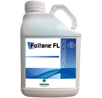 FOLTANE FL