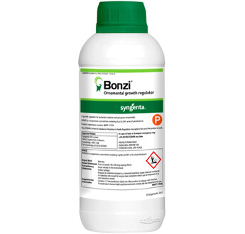 BONZI