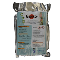GINKO