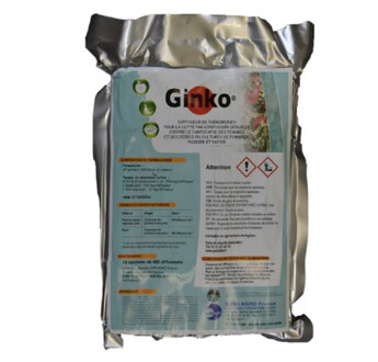GINKO