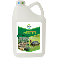 INFINITO