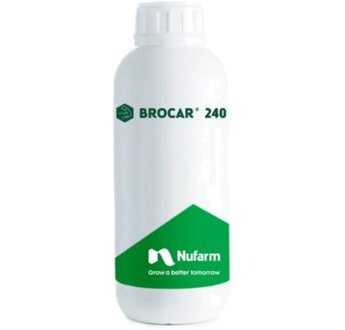 BROCAR 240