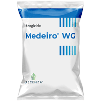 MEDEIRO WG