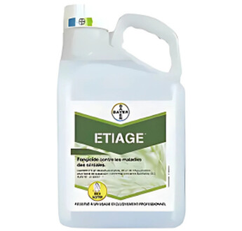 ETIAGE