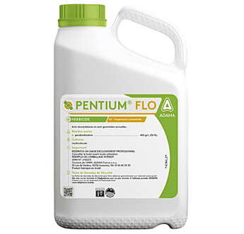 PENTIUM FLO