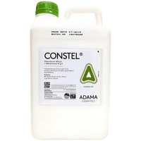 CONSTEL
