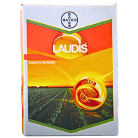 LAUDIS WG