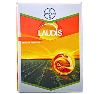 LAUDIS WG