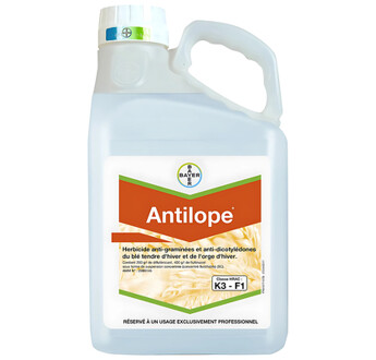 ANTILOPE