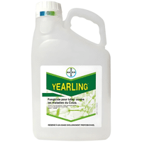 YEARLING