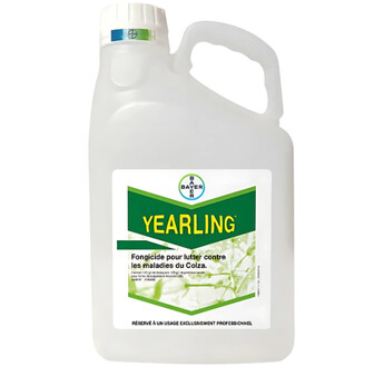 YEARLING