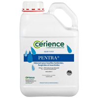 PENTRA