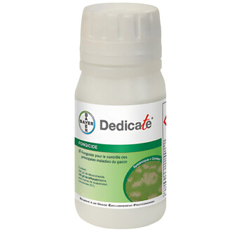 DEDICATE