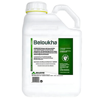 BELOUKHA