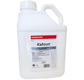 KATOUN