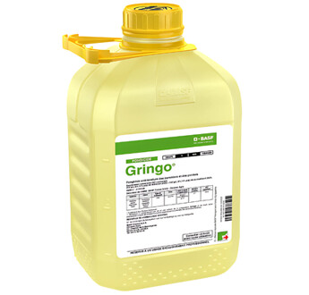 GRINGO