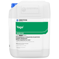 YAGO