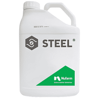 STEEL