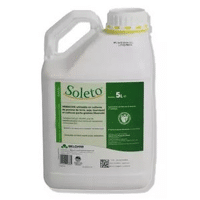 SOLETO