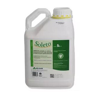 SOLETO