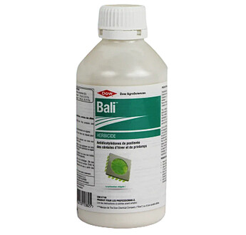 BALI
