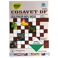 COSAVET DF