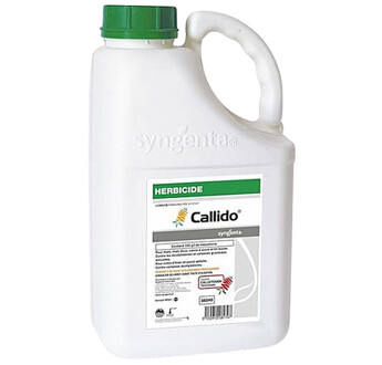 CALLIDO