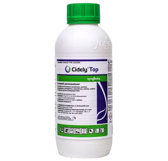 CIDELY TOP