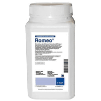 ROMEO