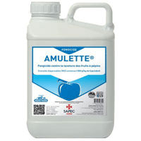 AMULETTE