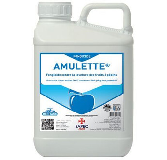AMULETTE