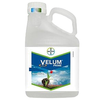 VELUM PRIME