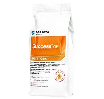 SUCCESS GR