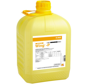 WING P