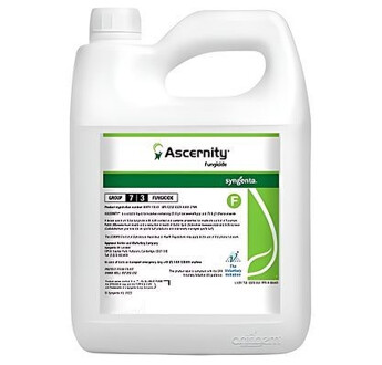 ASCERNITY