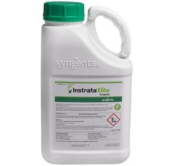 INSTRATA ELITE