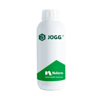 JOGG