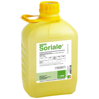 SORIALE