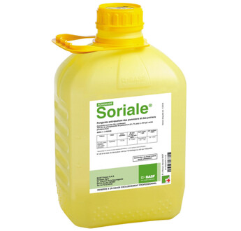 SORIALE
