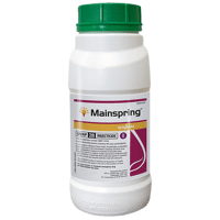 MAINSPRING
