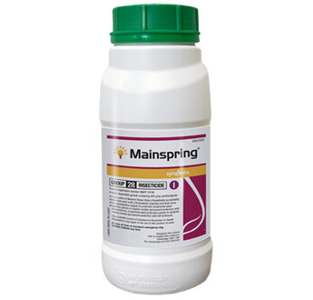 MAINSPRING