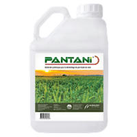 PANTANI (PHILAGRO)