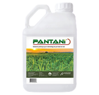 PANTANI (PHILAGRO)