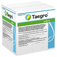 TAEGRO