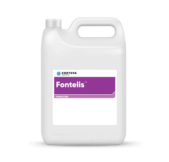 FONTELIS
