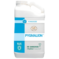 PYGMALION