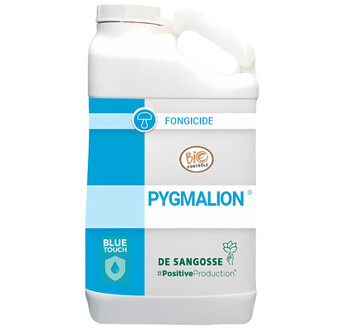 PYGMALION