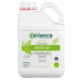 MESTAR