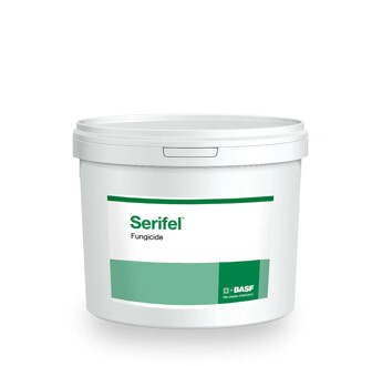 SERIFEL