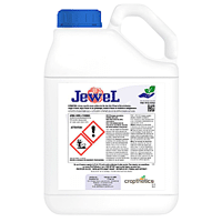 JEWEL